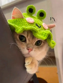 کلاه بافتنی قورباغه مخصوص گربه ها🐱🐸🐈