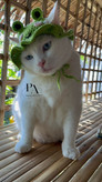 کلاه بافتنی قورباغه مخصوص گربه ها🐱🐸🐈